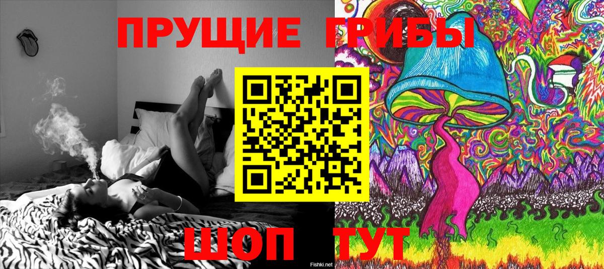 Псилоцибиновые грибы ЛСД Карачаевск