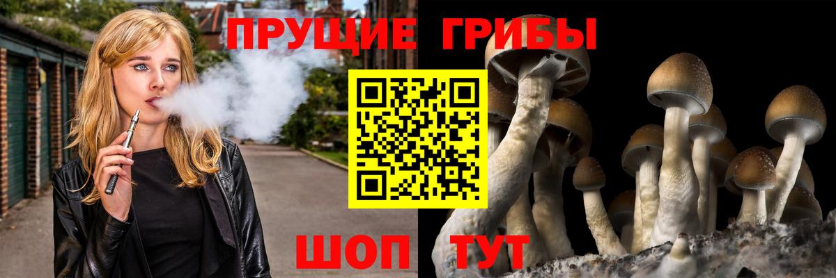 Псилоцибиновые грибы мицелий  Вход с VPN  Карачаевск  Псилоцибиновые грибы мухоморы 